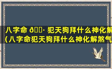 八字命 🌷 犯天狗拜什么神化解（八字命犯天狗拜什么神化解煞气）